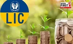High Risk, but Powerful Returns: This LIC Fund Has Made Investors Rich