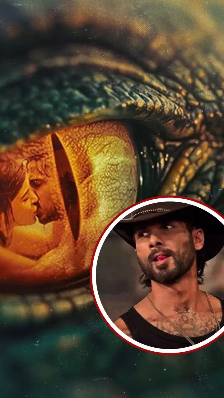 Valentine Week Watchlist: New Movies and Web Series Releasing This Week