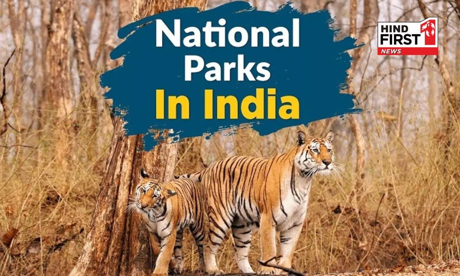 5 National Parks in India that have a river flowing nearby, with breathtaking views! 5 National Parks in India that have a river flowing nearby, with breathtaking views!