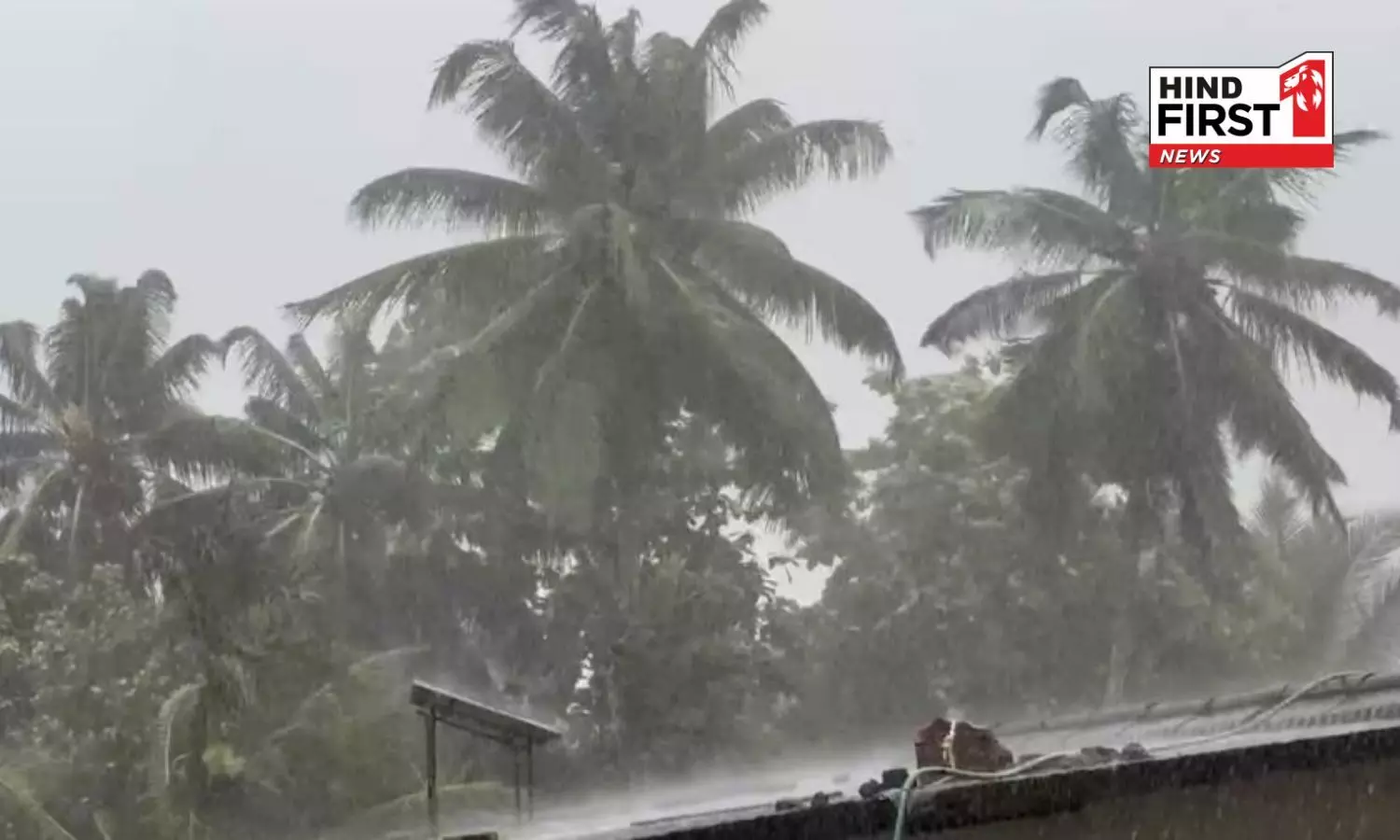 Kerala Rain Alert: IMD Issues Yellow Warning in 5 Districts, Sea Travel Advisory Issued Kerala Rain Alert: IMD Issues Yellow Warning in 5 Districts, Sea Travel Advisory Issued