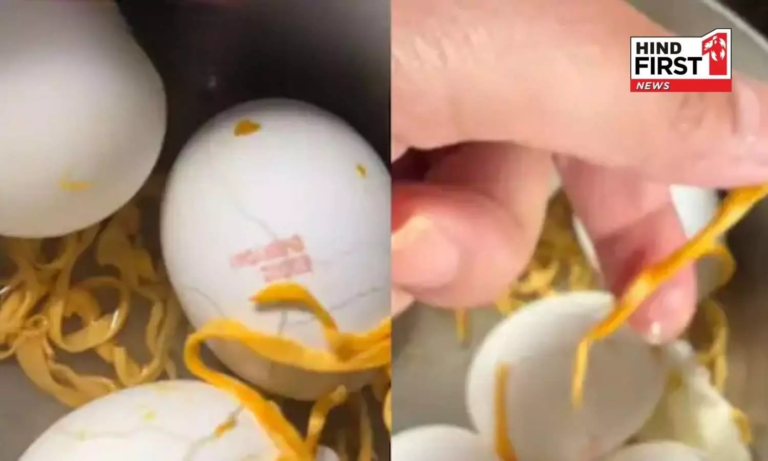Viral Video Shows ‘Plastic’ Inside Eggoz Eggs Bought From Zepto, Company Responds Viral Video Shows ‘Plastic’ Inside Eggoz Eggs Bought From Zepto, Company Responds