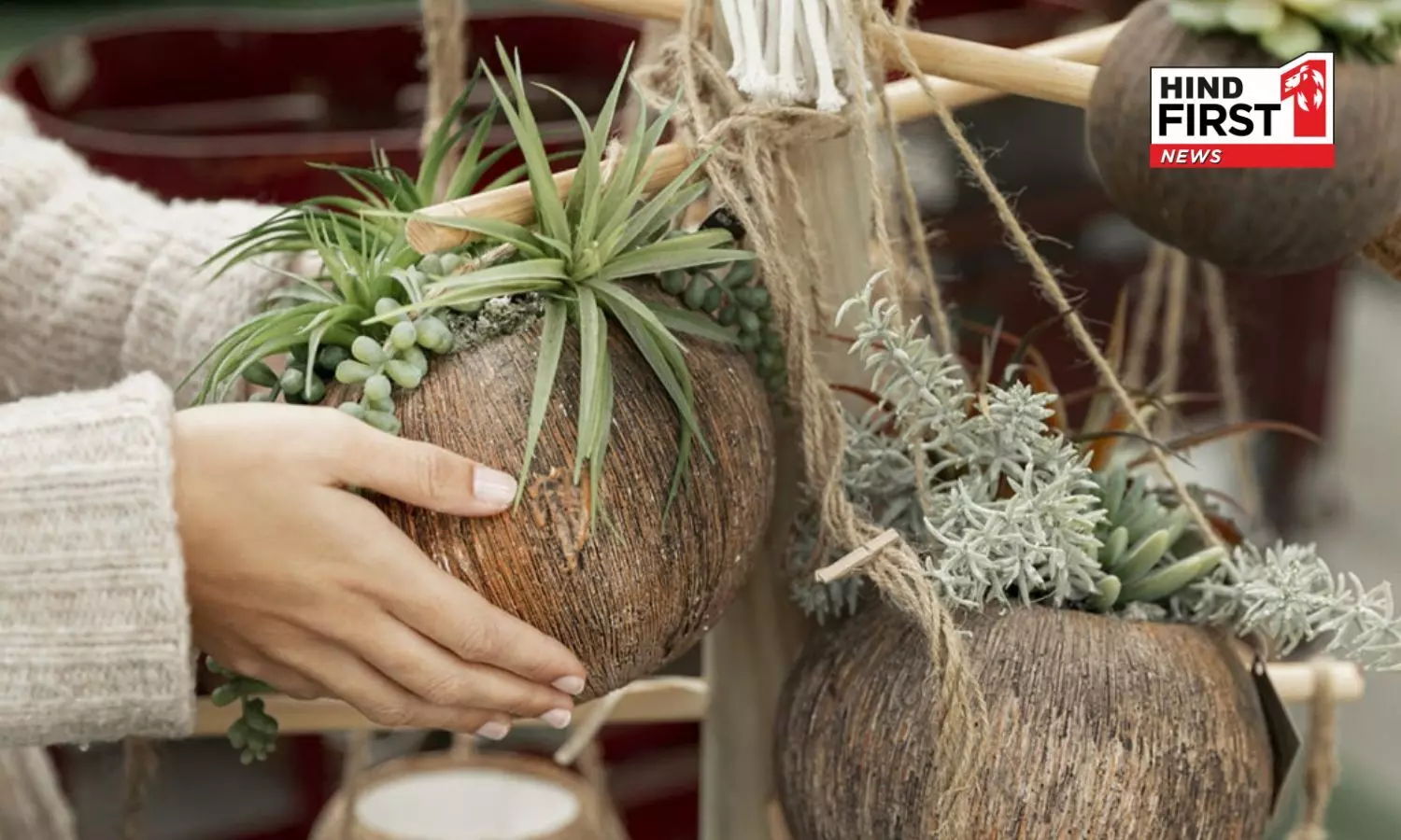 Transform your indoor plants into art with this Japanese gardening technique Transform your indoor plants into art with this Japanese gardening technique