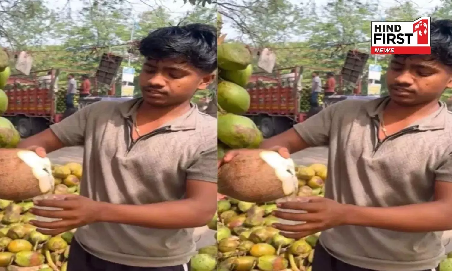 Viral Video: Which Coconut Contains the Most Water? Understand the Math Behind it Viral Video: Which Coconut Contains the Most Water? Understand the Math Behind it