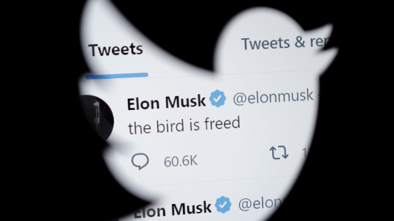 Elon Musk fires top 50 senior executives after layingoff 200 employees from Twitter