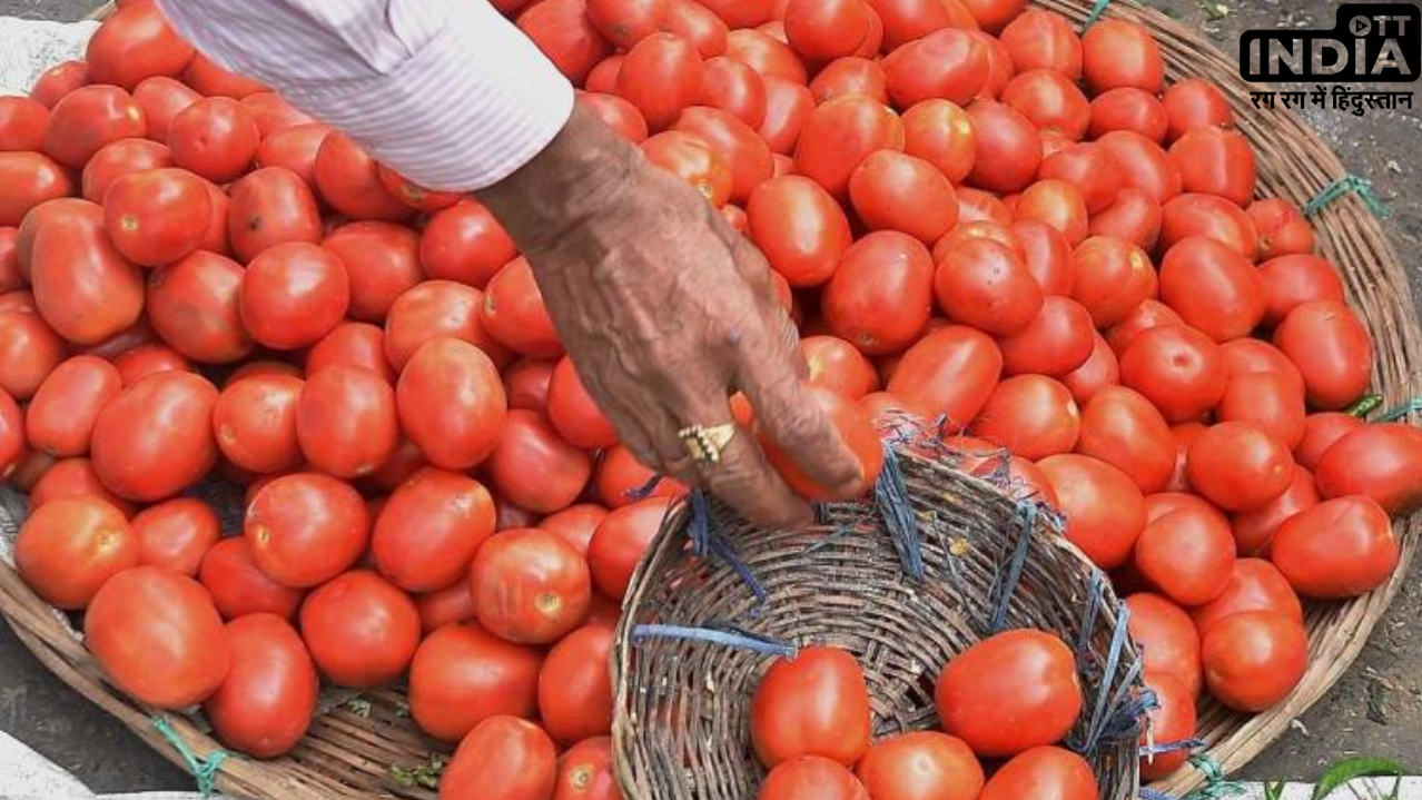 Why do tomatoes cost over Rs 100, and why is the market heating up? Why do tomatoes cost over Rs 100, and why is the market heating up?
