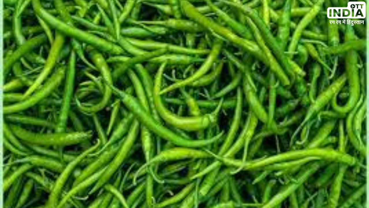 After Tomatoes, Green Chiles Drive Retail Prices to ₹400/Kg.