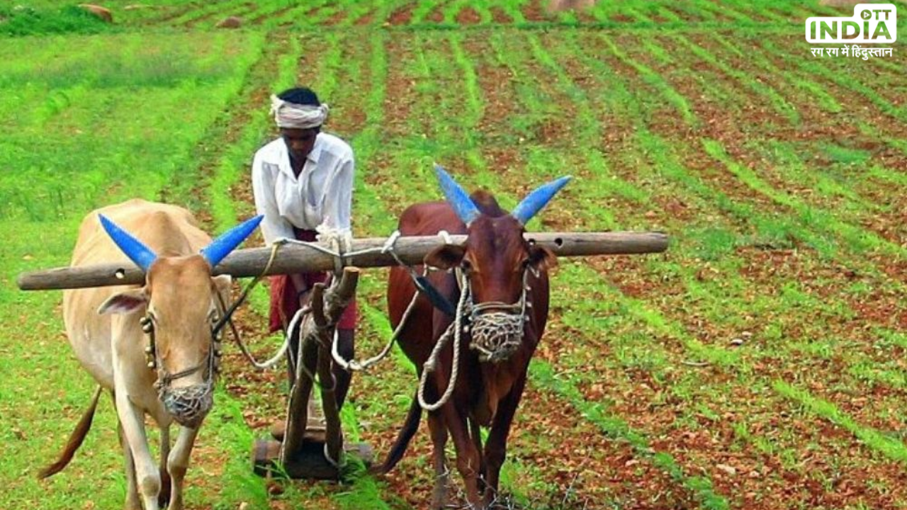 Ministry of Agriculture: Indias summer crop coverage decreased and rice cultivation increased