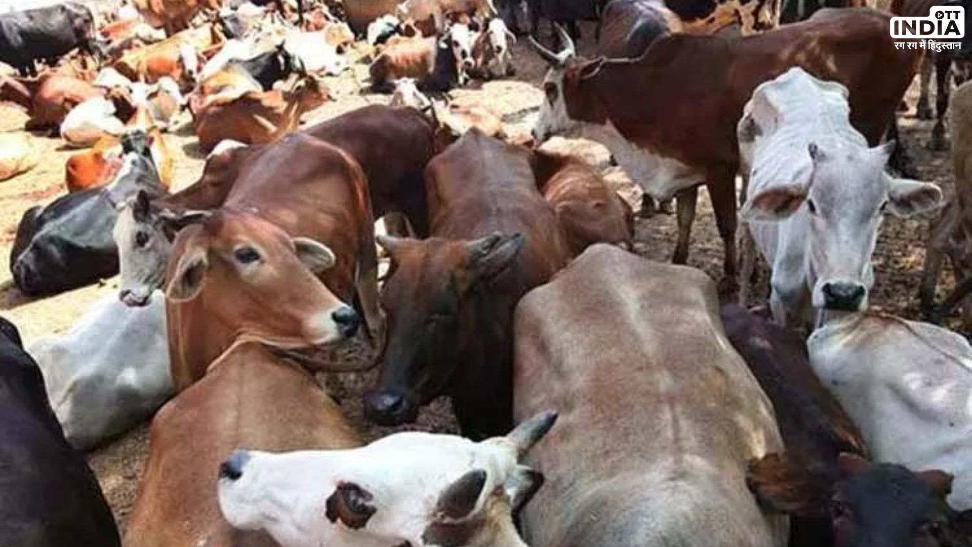 Charges Filed Against 90 Individuals for Obstructing UP Ministers Convoy with Stray Cattle