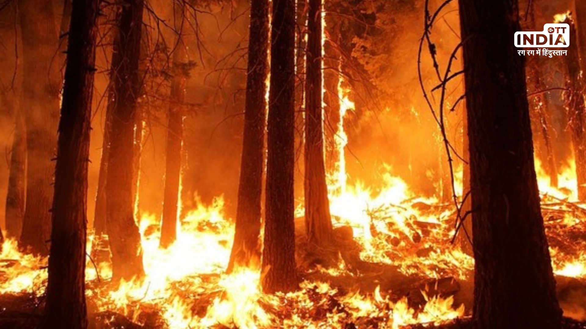 Canada wildfire causes thousands to leave home