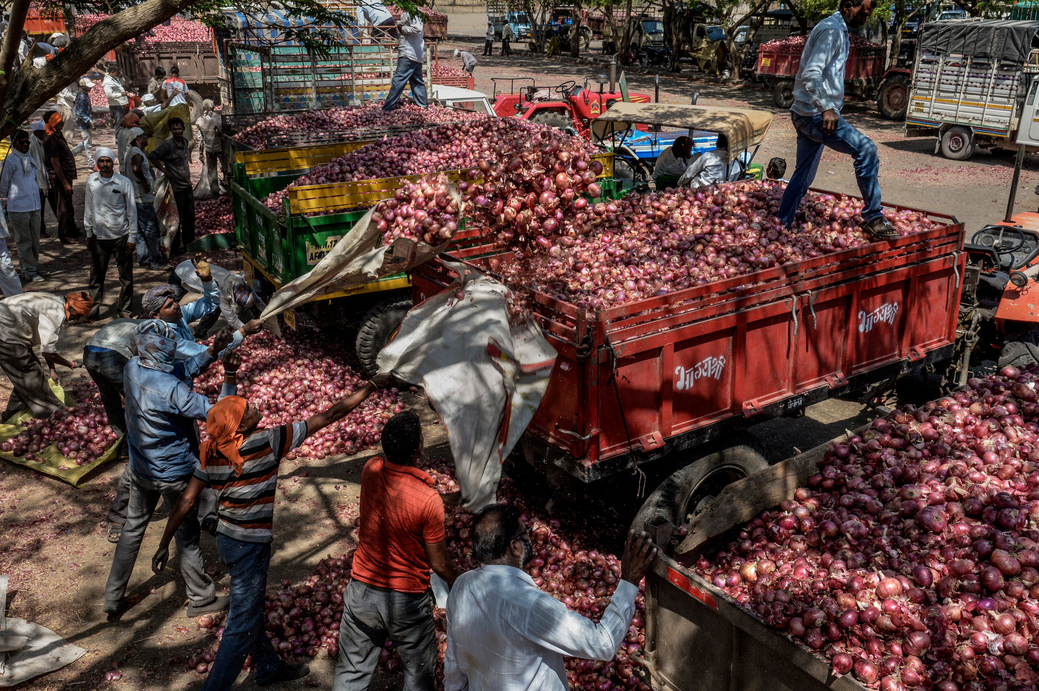 The office-bearer claimed that the Centre's move to increase export duties will not only make it harder for farmers to export onions, but it will also have a negative impact on onions that are already in transit.