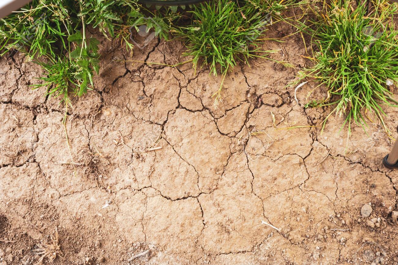 Pulse sowing area decreased by 8.5% from 2022 to 2023 as a result of a delayed monsoon