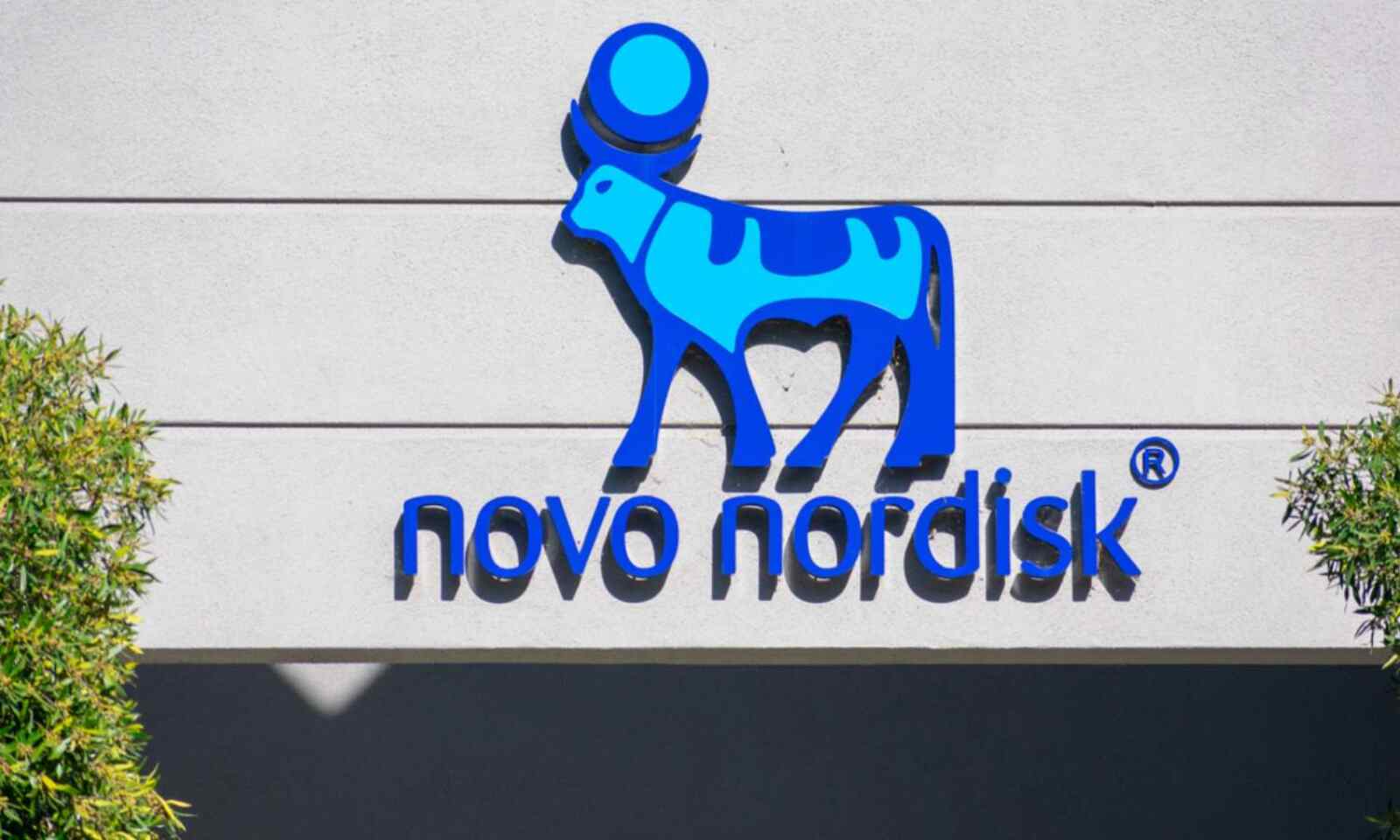 Novo Nordisk 