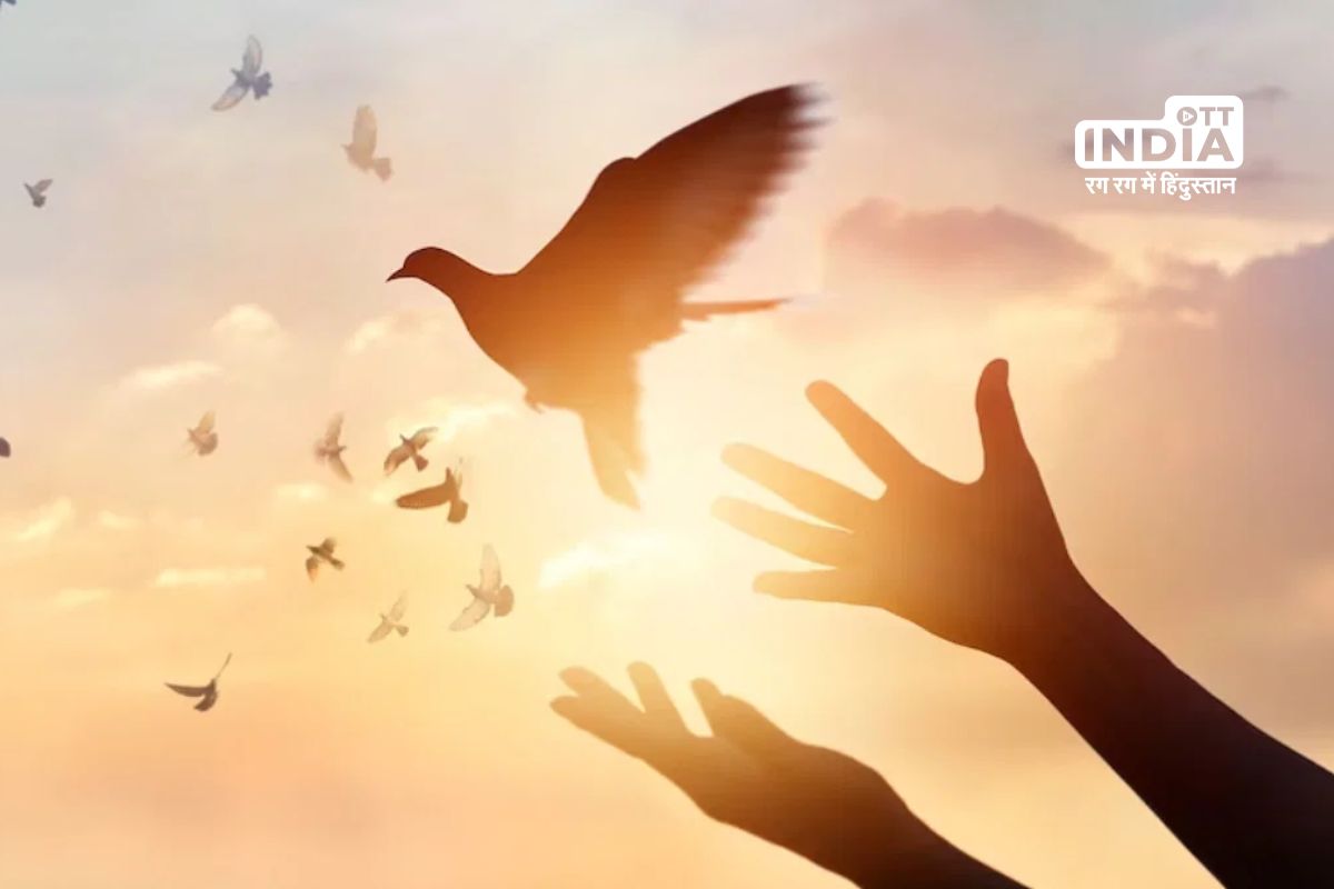 International Day of Peace 2023: Promoting Global Harmony and Unity