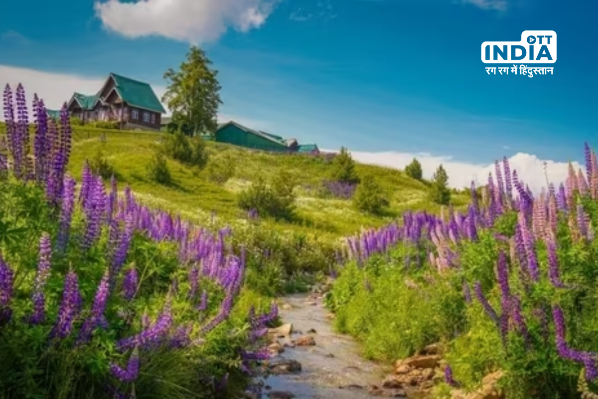 Indian Army Hosts Two-Day Annual Gulmarg Festival in Jammu and Kashmir