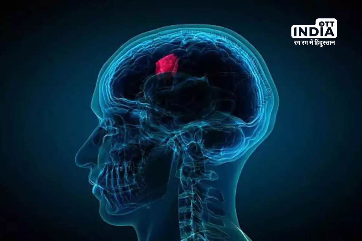 Study Reveals Rice Grain-Sized Micro-device Effective in Treating Brain Cancer