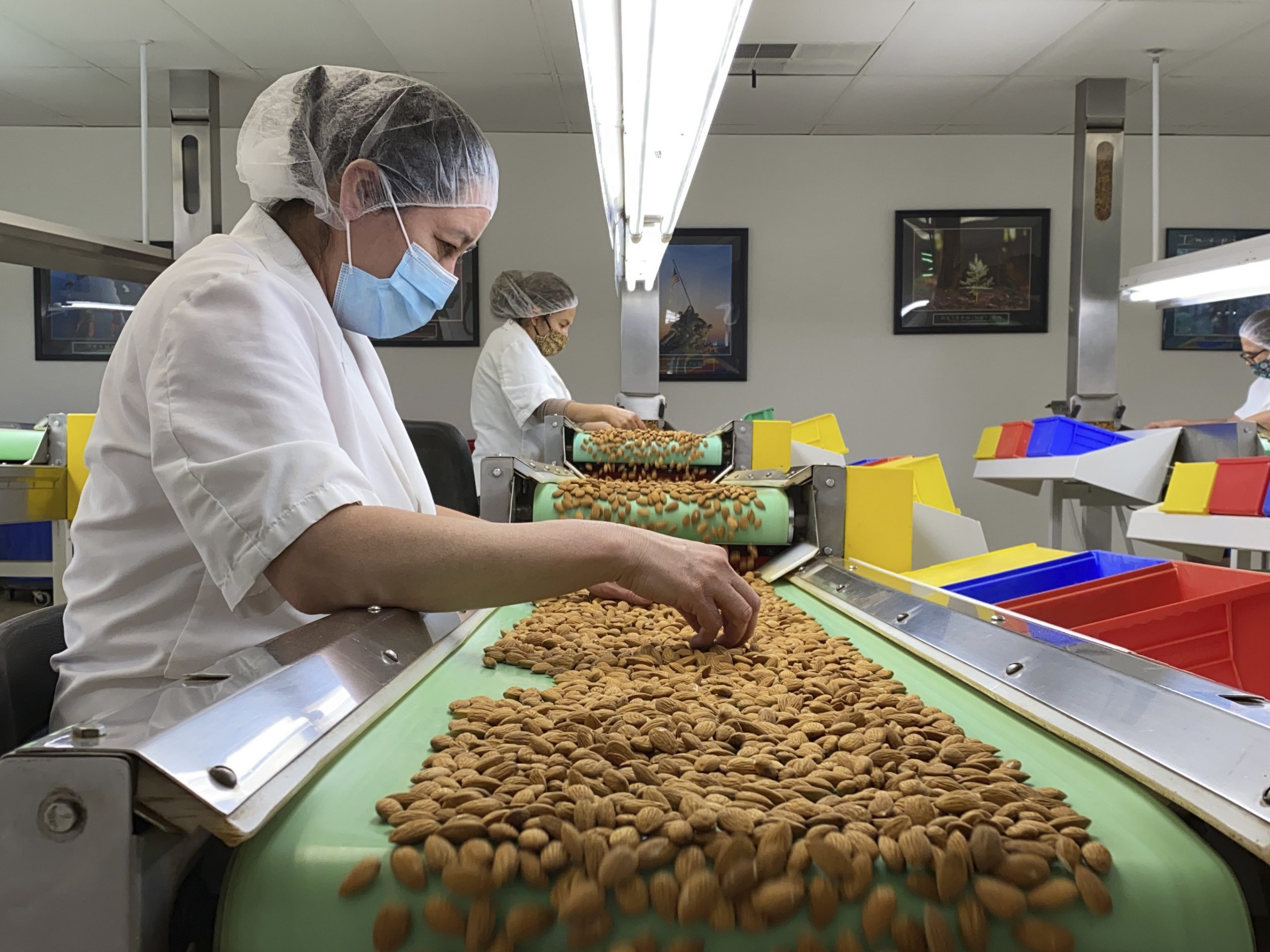 India this week lifted its retaliatory duties on American apples, chickpeas, lentils, almonds, and walnuts, which were announced earlier this summer and went into force this week.