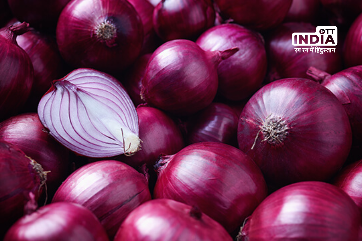 Bangalore Rose onion exports are duty-free under the governments exemption policy