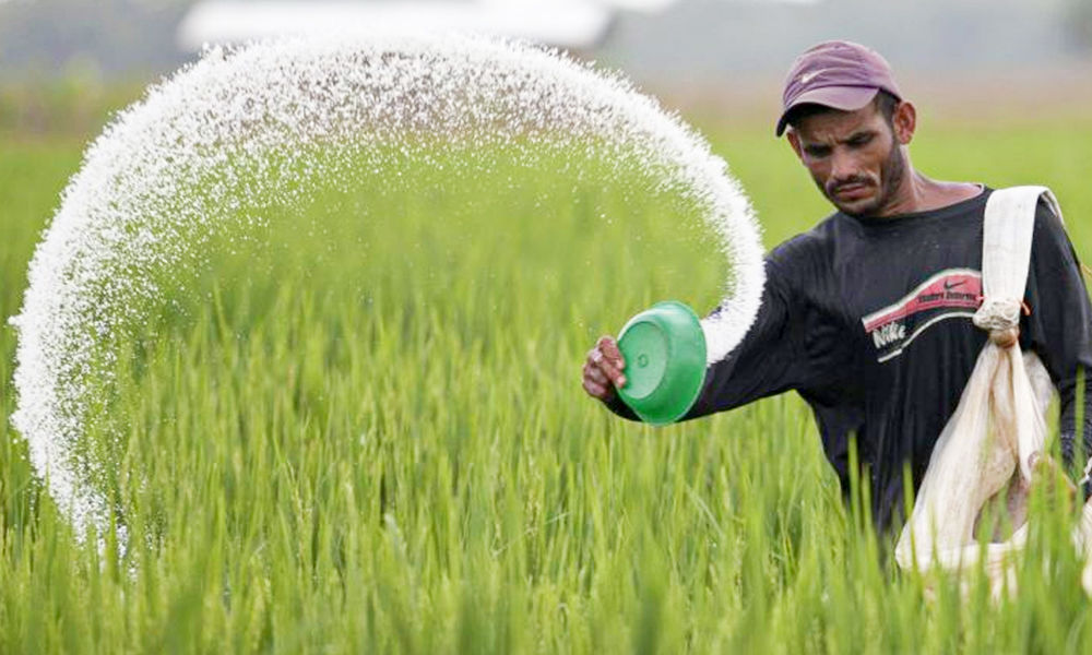Amidst worldwide inflation, Cabinet approved 22,303-crore subsidy for fertilisers