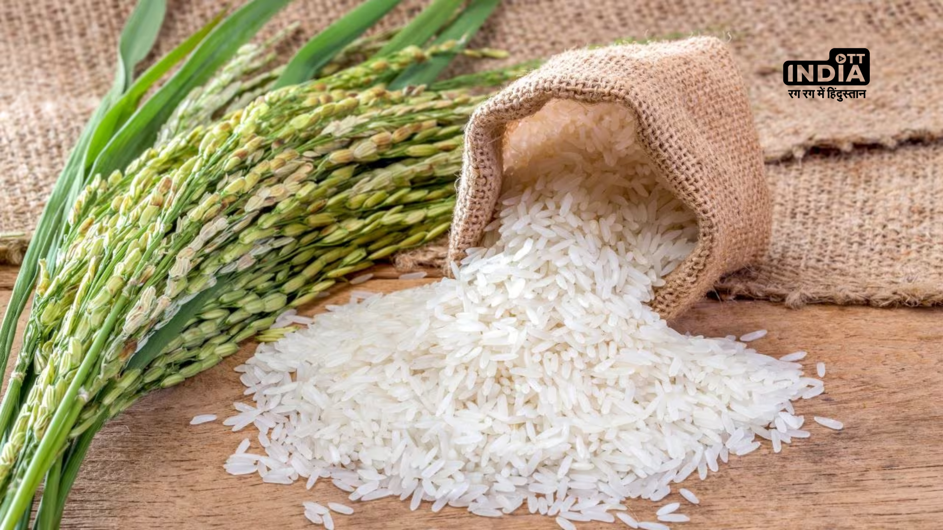 To these 7 nations, the government permitted the export of non-basmati rice