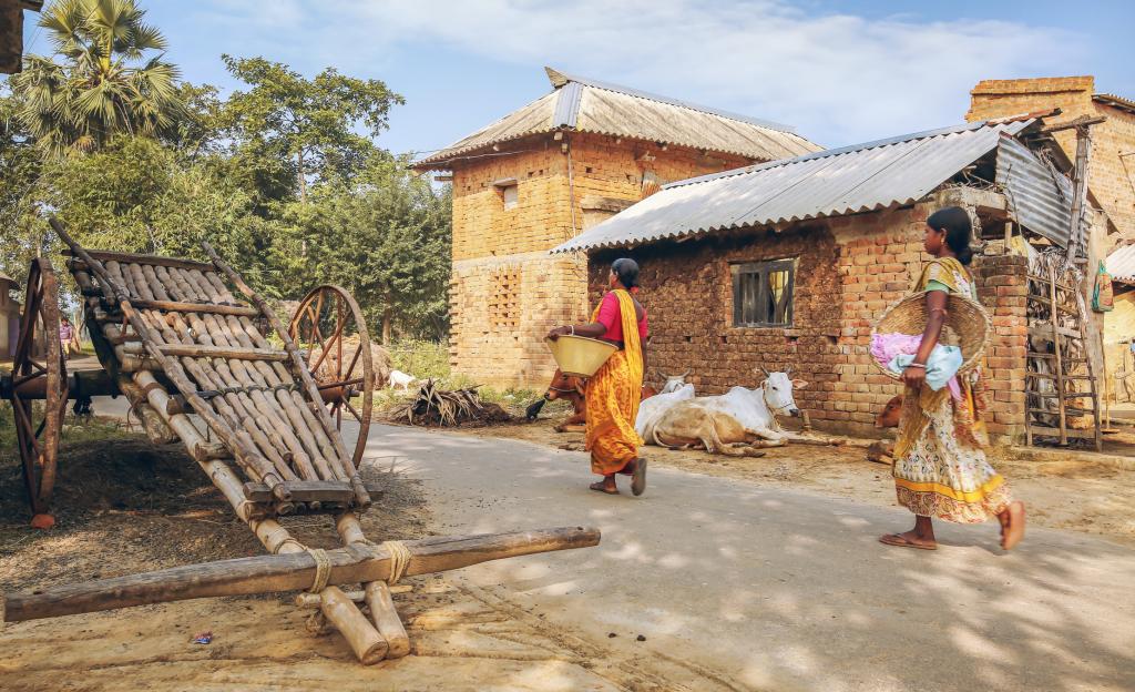 On November 15, PM Modi will introduce the PM-PVTG Development Mission for tribal groups