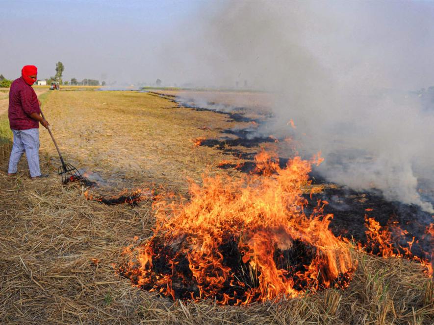 Stubble Burning by Farmer