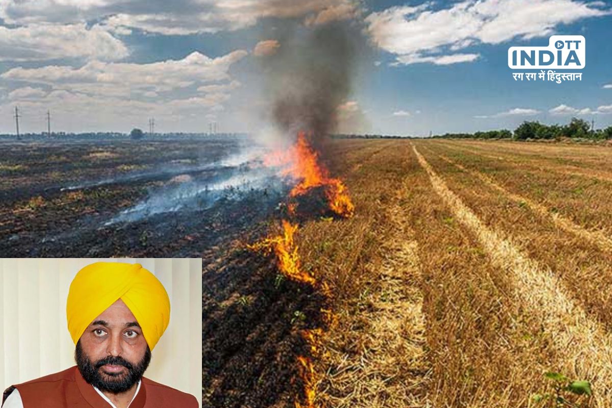 SC takes strict take on Punjab govt for continued stubble burning