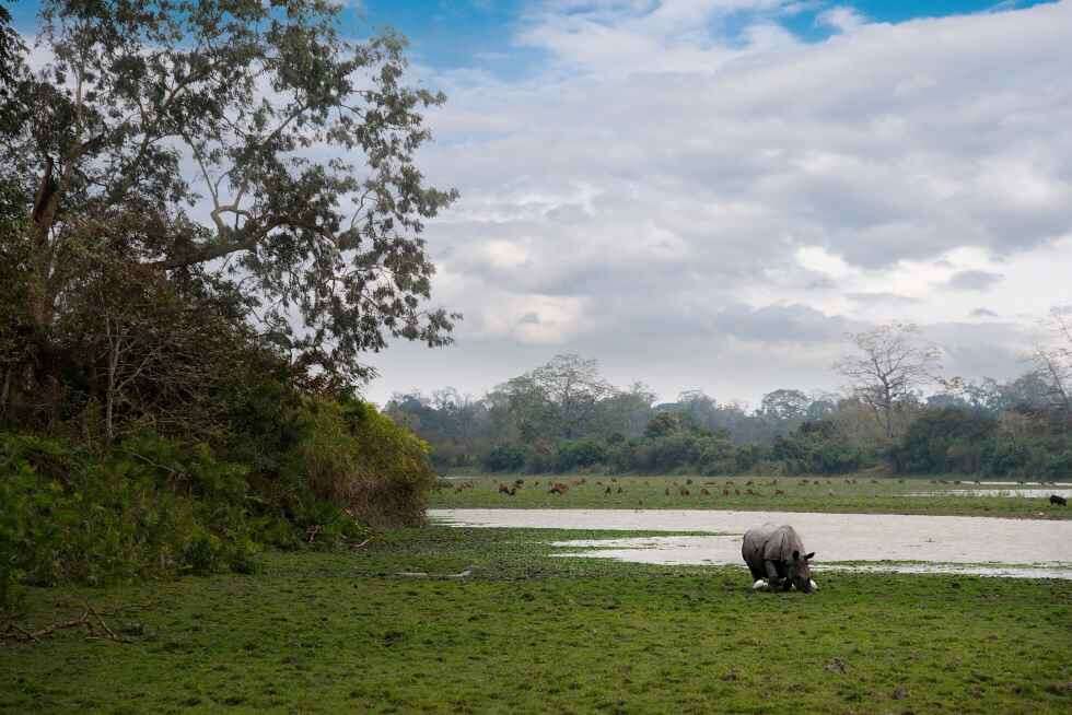 Before Diwali, IRCTC introduced 'North East Discovery' train excursion package: Check all details here