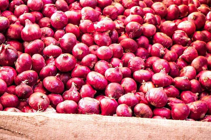 In an effort to manage supply and costs, the center banned onion exports until March 2024