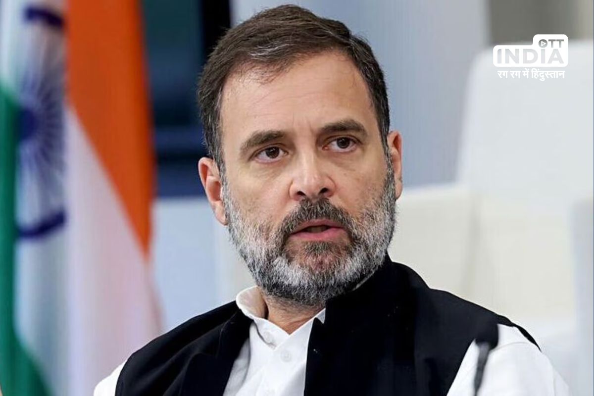 Rahul Gandhis Pickpocket Remark: Delhi HC Presses Election Commission for Action