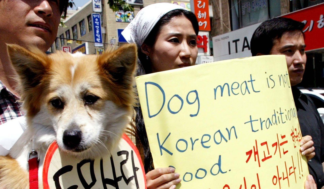 People protesting against Dog Meat 