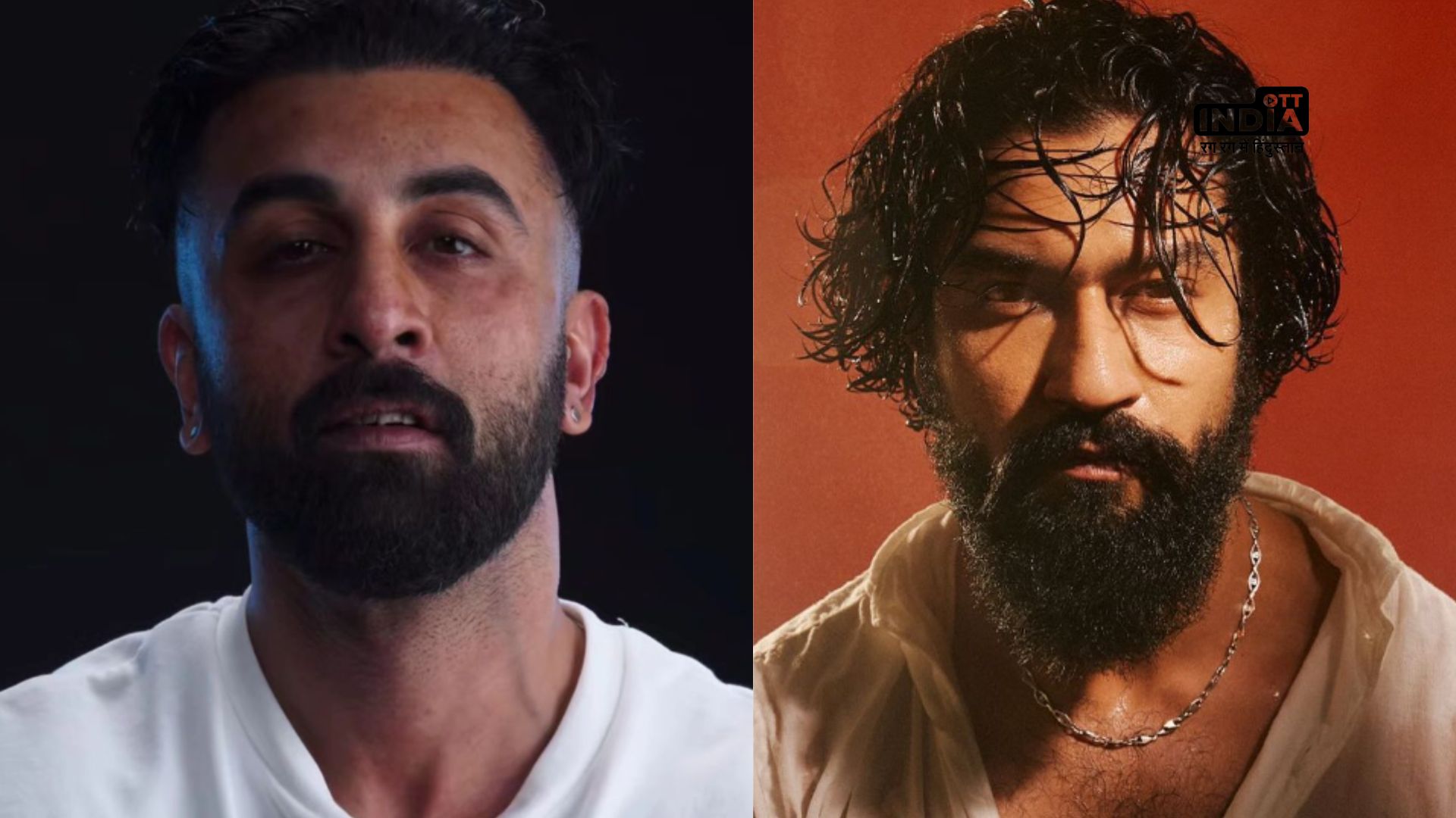 Vicky Kaushal to play antagonist Role in Ranbir Kapoors Animal Park | REPORT