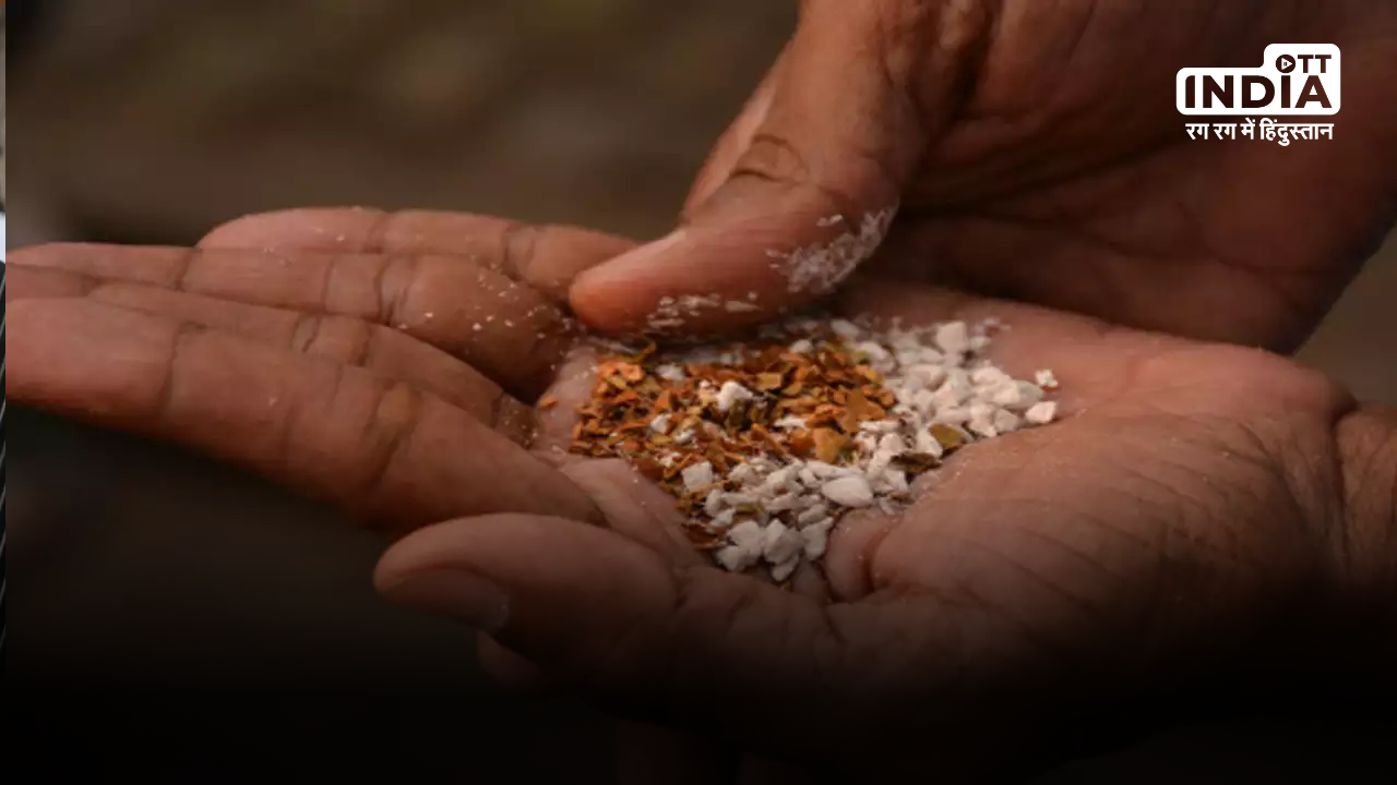 Expenditure on pan, tobacco, & intoxicants has risen: Insights from Indias Household Expenditure Survey