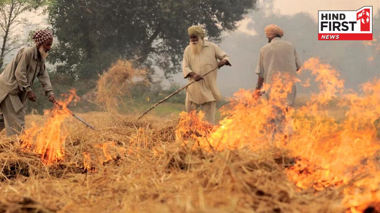 Supreme Court Criticizes Punjab and Haryana for Low Compensation to Farmers
