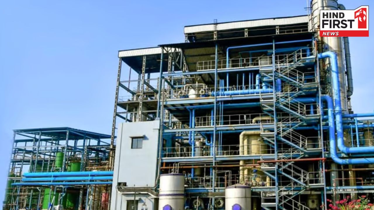 Godavari Biorefineries IPO Launches: Key Details and Risks