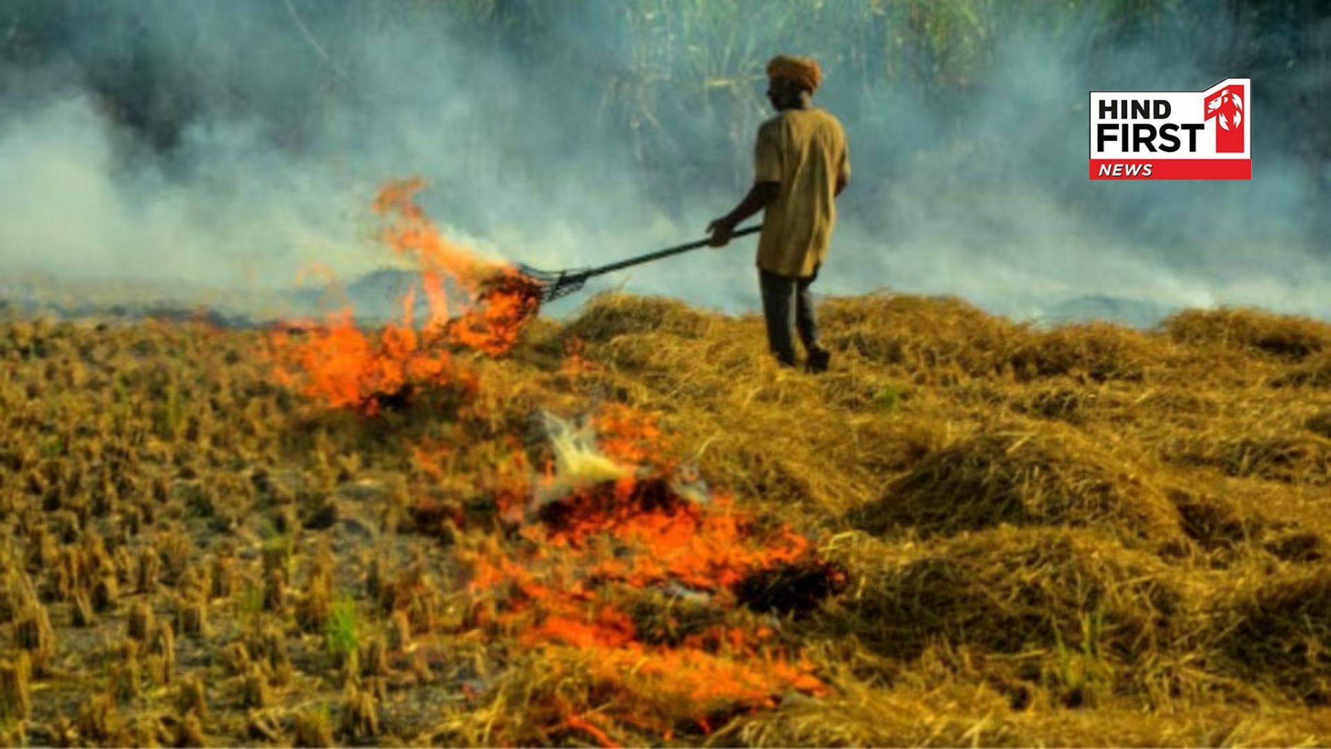 Agriculture Departments action on stubble burning, employees have been given leave in Haryana. Agriculture Departments action on stubble burning, employees have been given leave in Haryana.