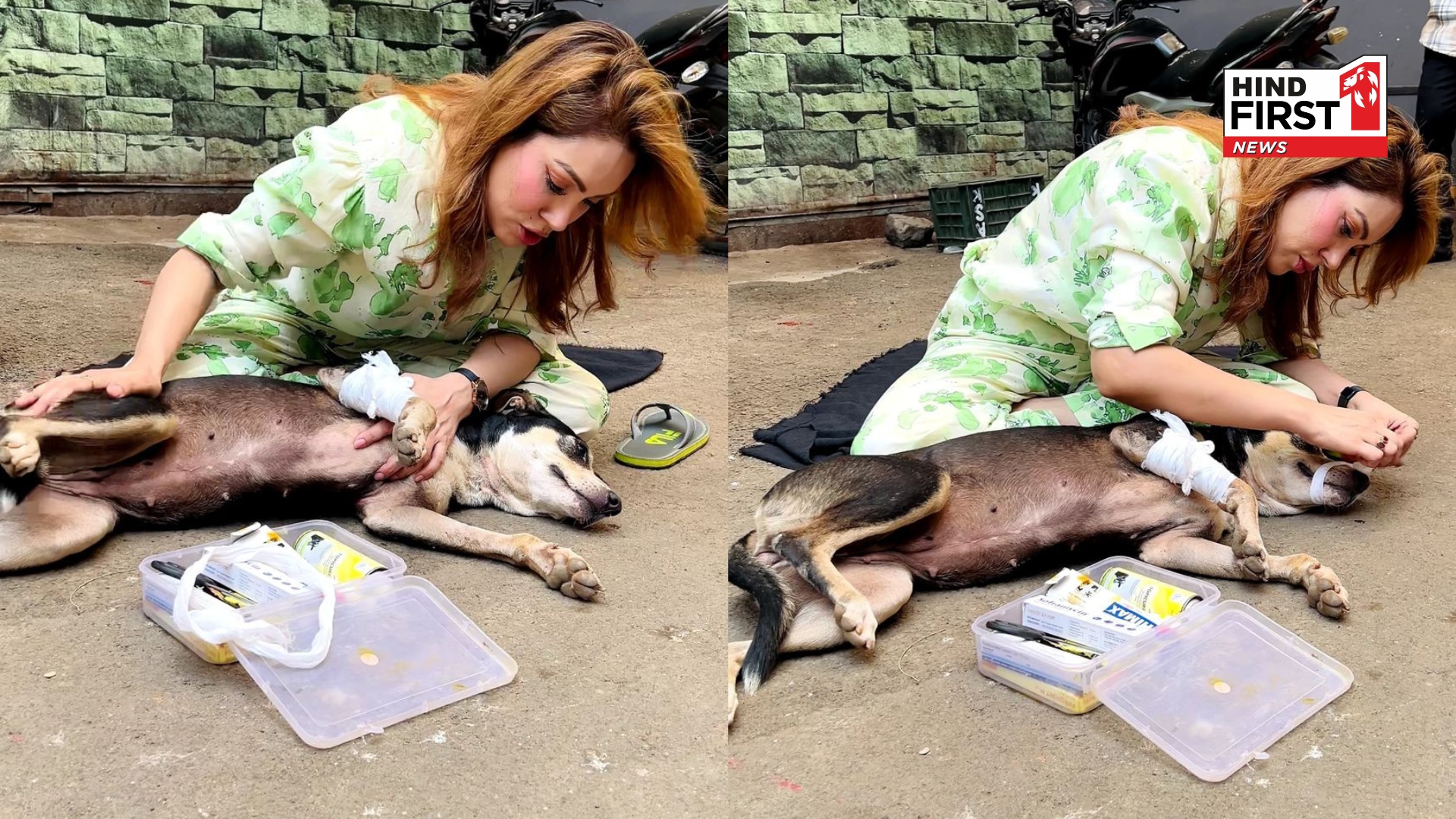 Munmun Dutta Rescues Injured Street Dog After Bike Accident; says, She Feels Loved and Comfortable With Me