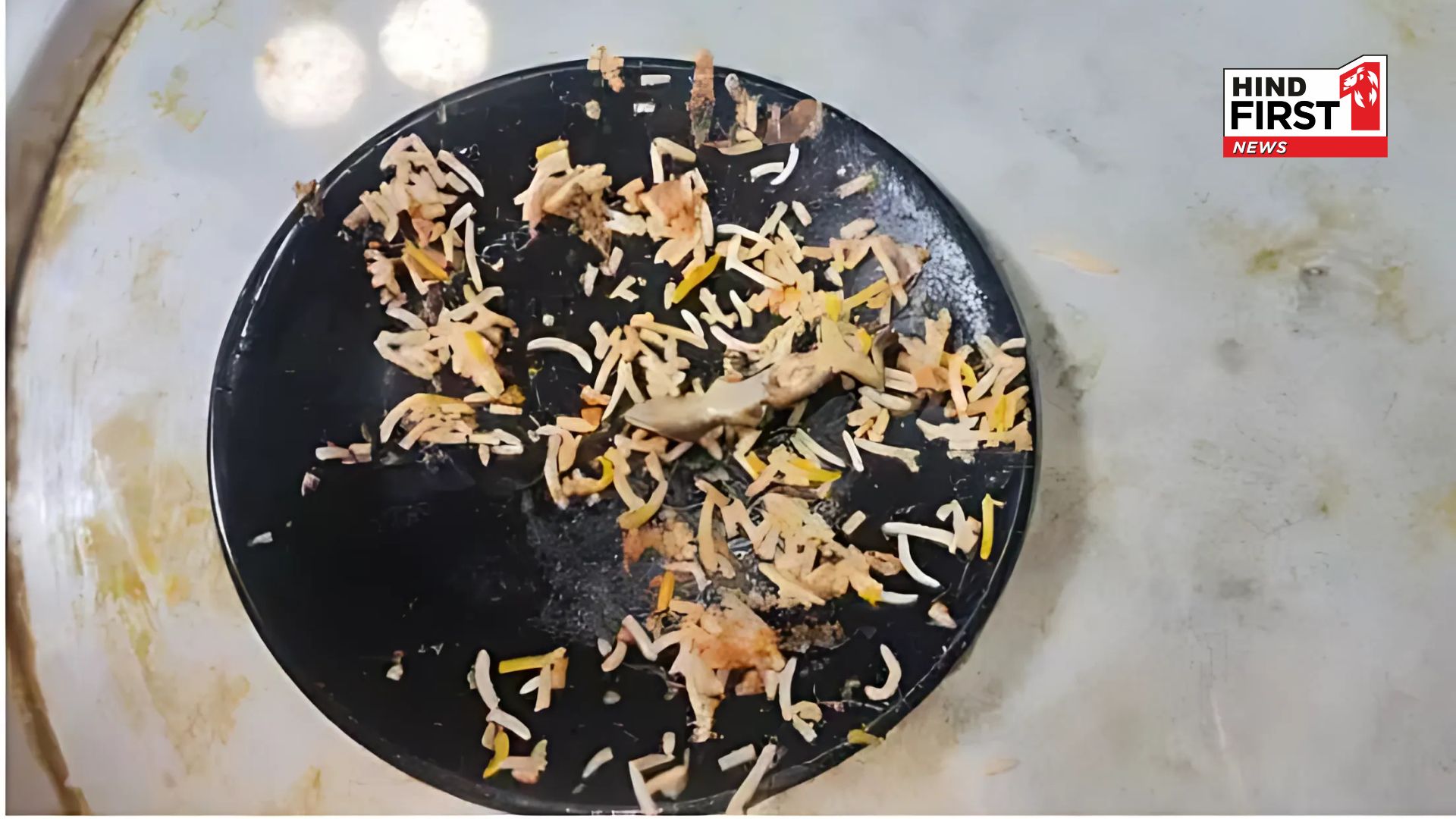 Customer Finds Fried Lizard in Biryani at Hyderabad’s Mehfil Hotel Customer Finds Fried Lizard in Biryani at Hyderabad’s Mehfil Hotel