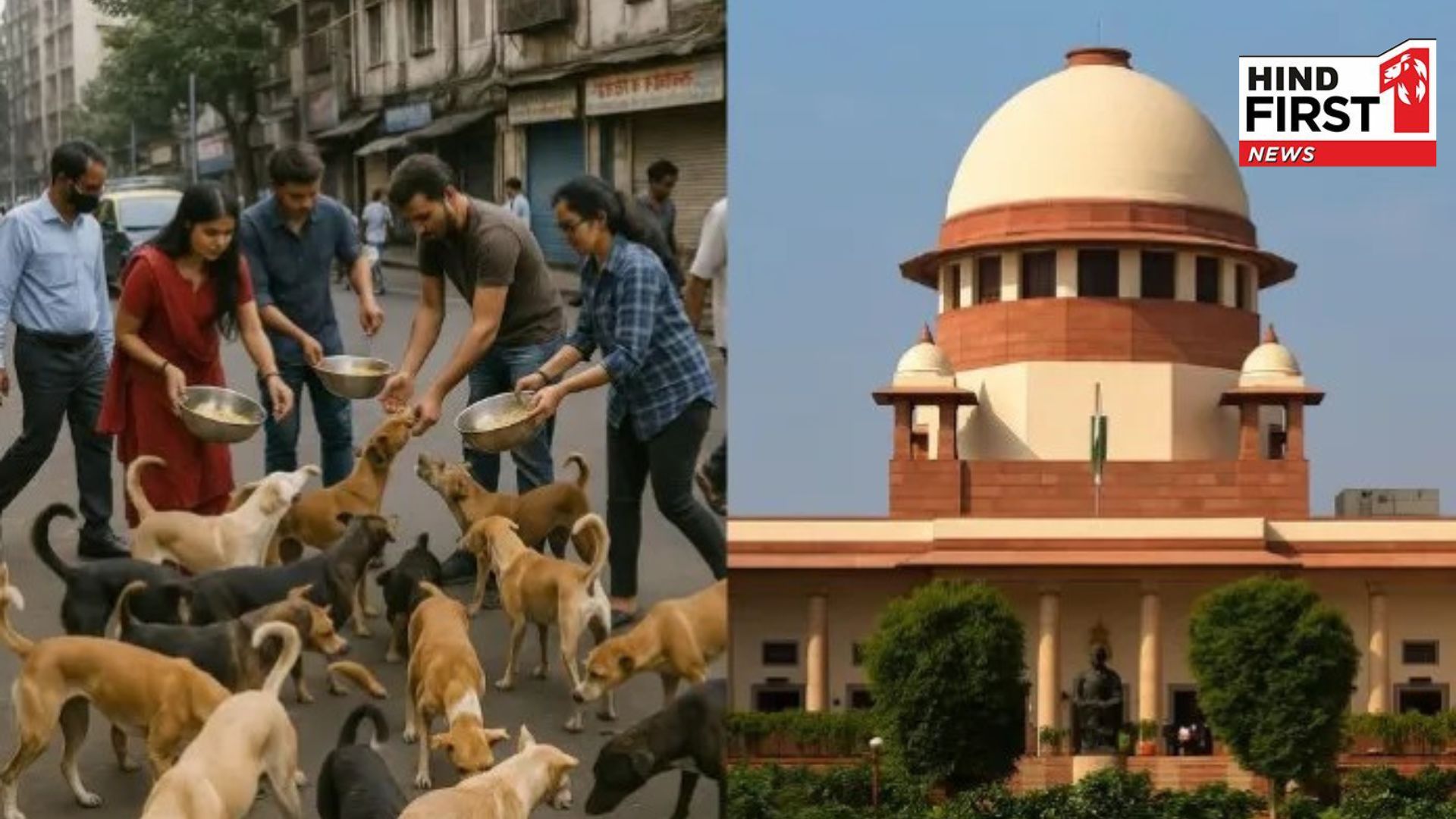 Will look into the matter... Chief Justice spoke on SC order on stray dogs