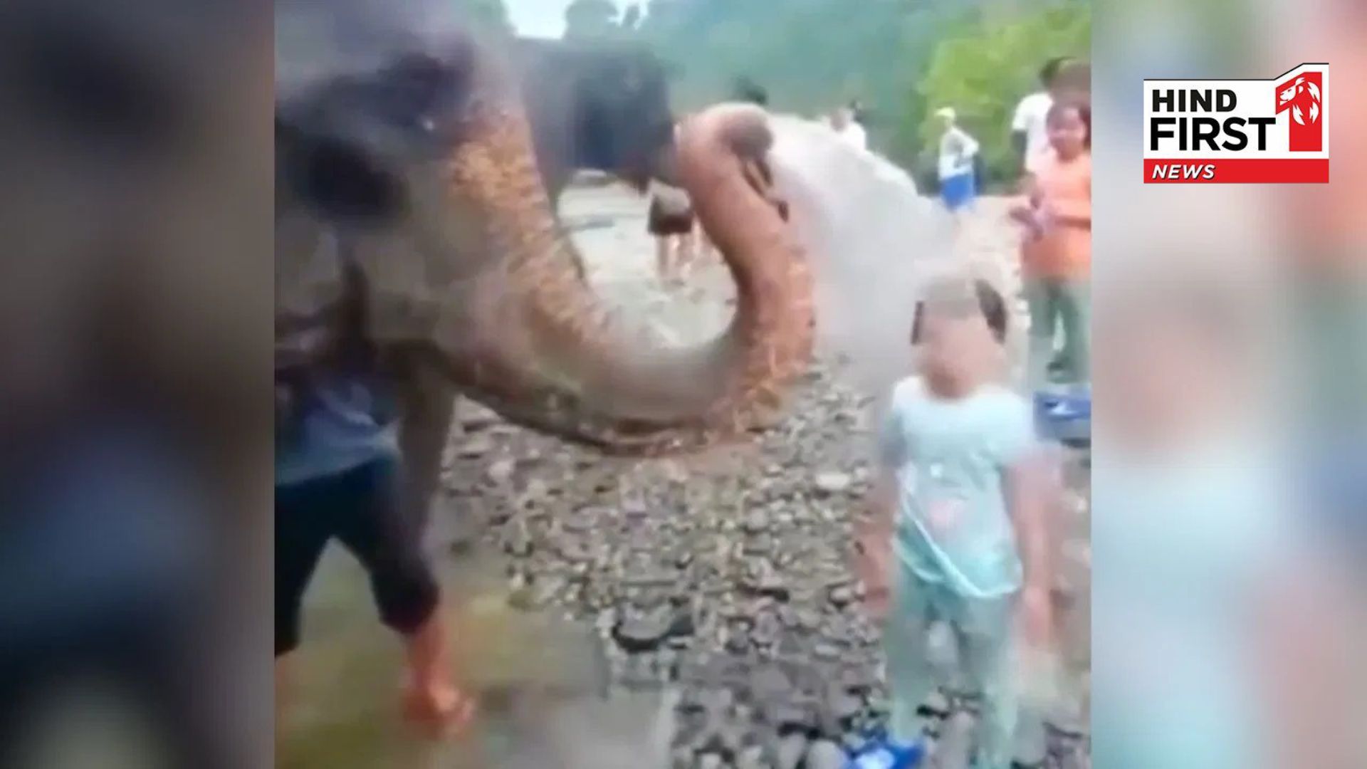 Elephant had fun with a little girl, your heart will be happy after watching the video Elephant had fun with a little girl, your heart will be happy after watching the video