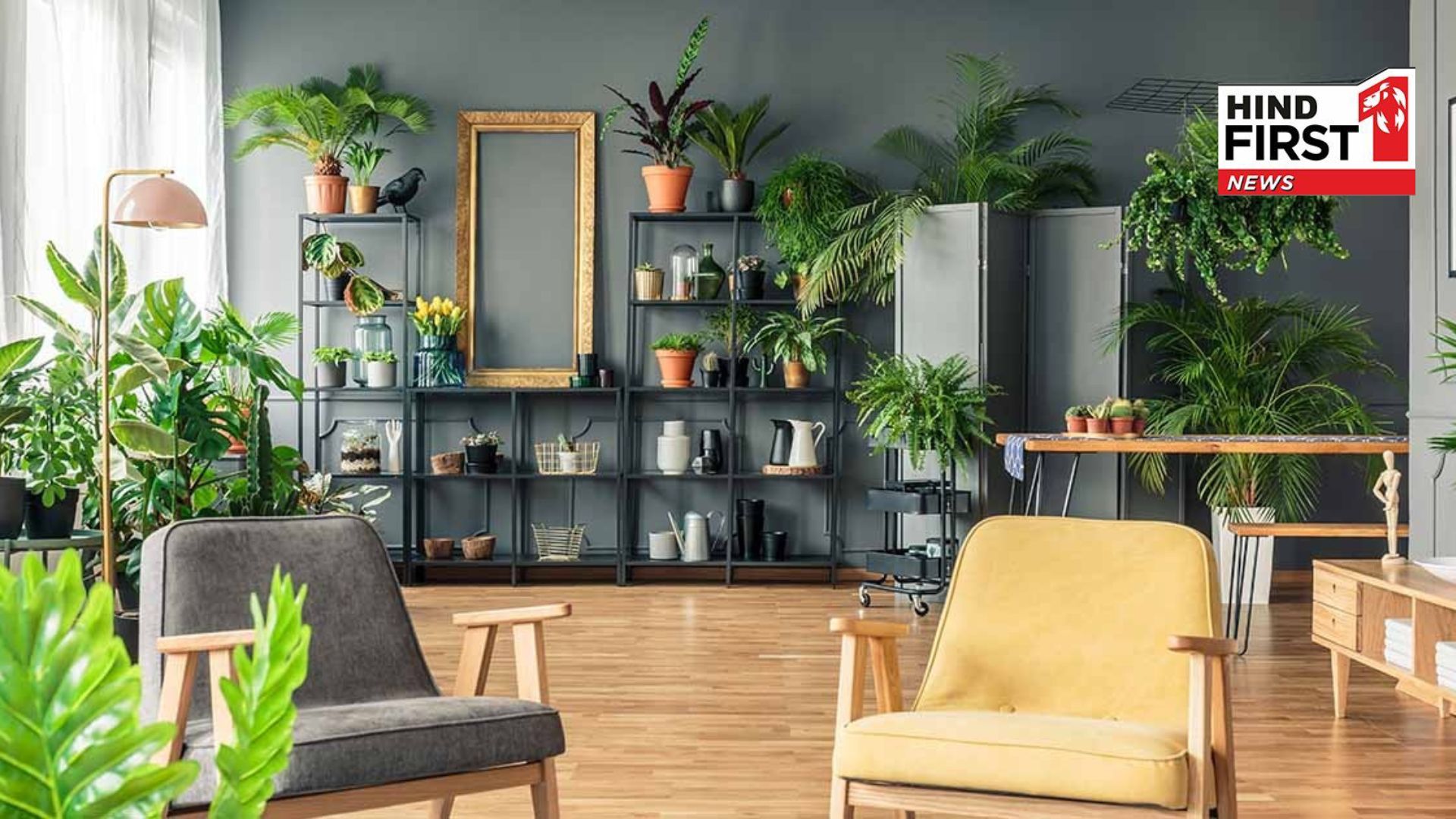 These 5 houseplants don’t mind a little neglect and still keep your home looking fresh These 5 houseplants don’t mind a little neglect and still keep your home looking fresh