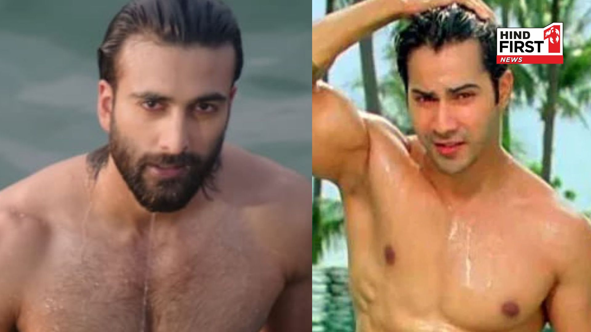Varun Dhawan to Meezaan Jafri: 5 Actors Who Set the Temperatures Soaring With Bare Looks in the Water